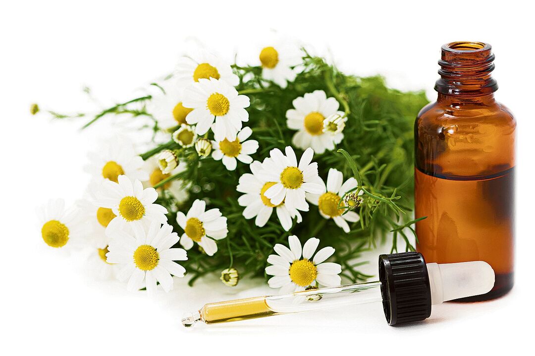 constituent Neoveris - chamomile extract